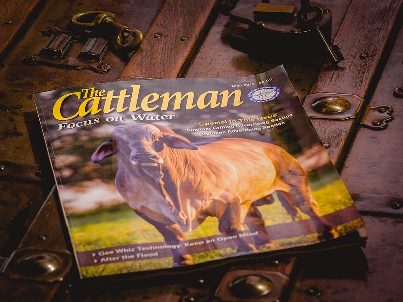 The Cattleman magazine cover with a Brahman on pasture